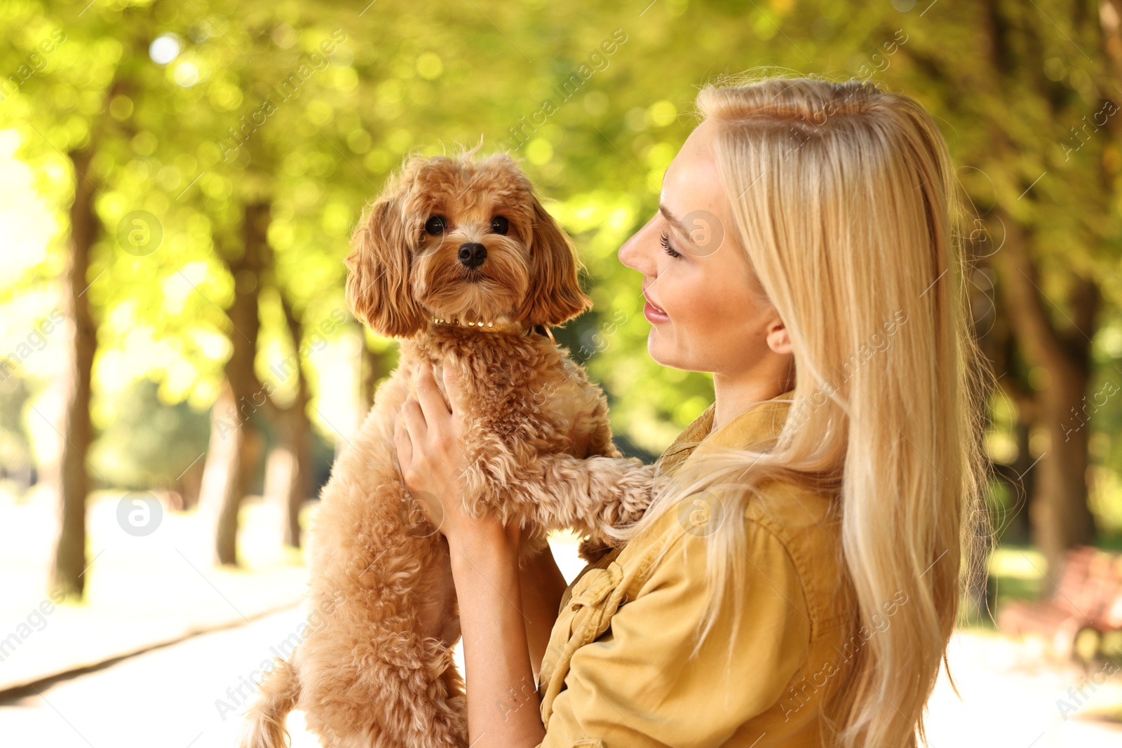 Photo of Beautiful young woman with cute dog in park