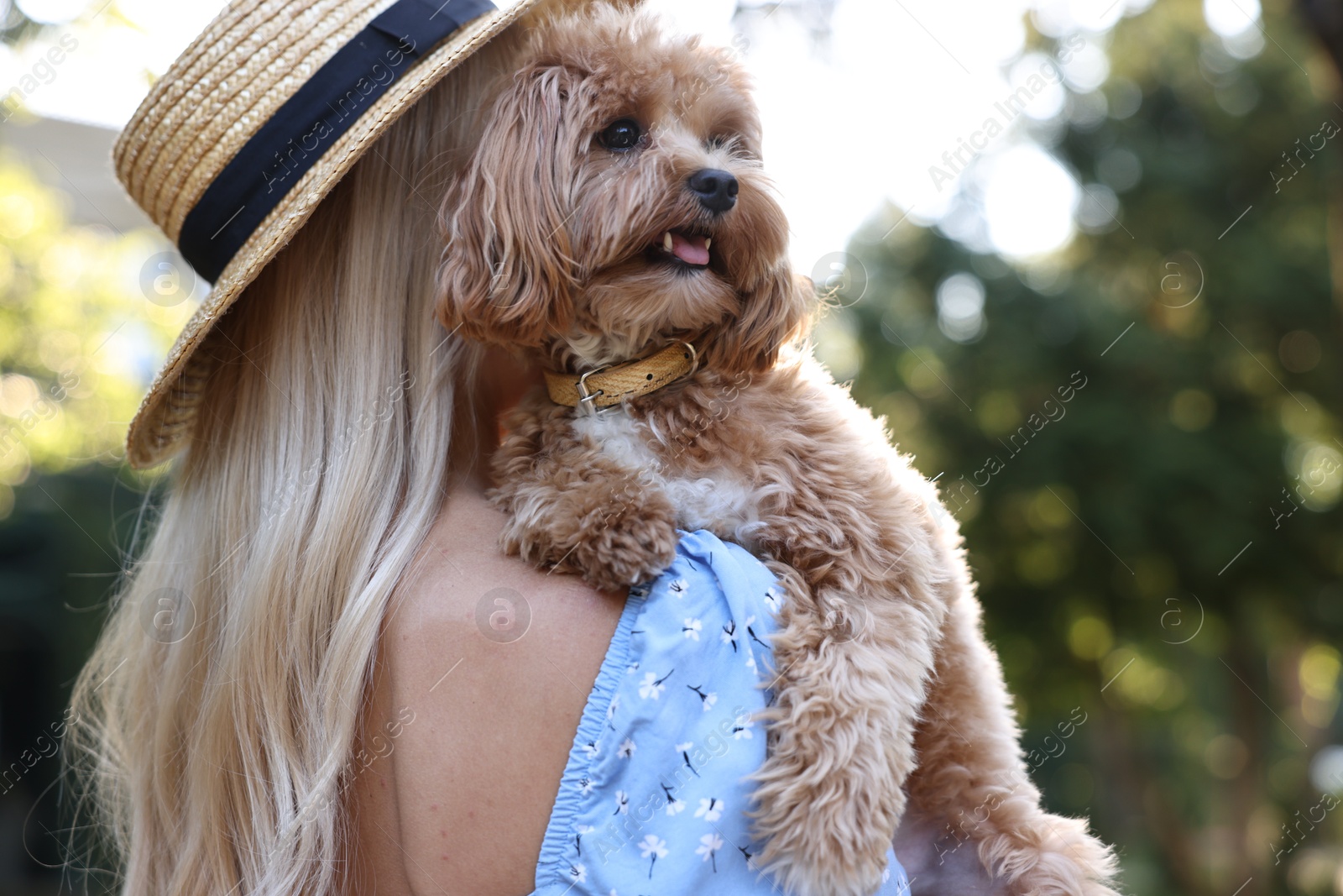 Photo of Woman with cute dog in park, back view