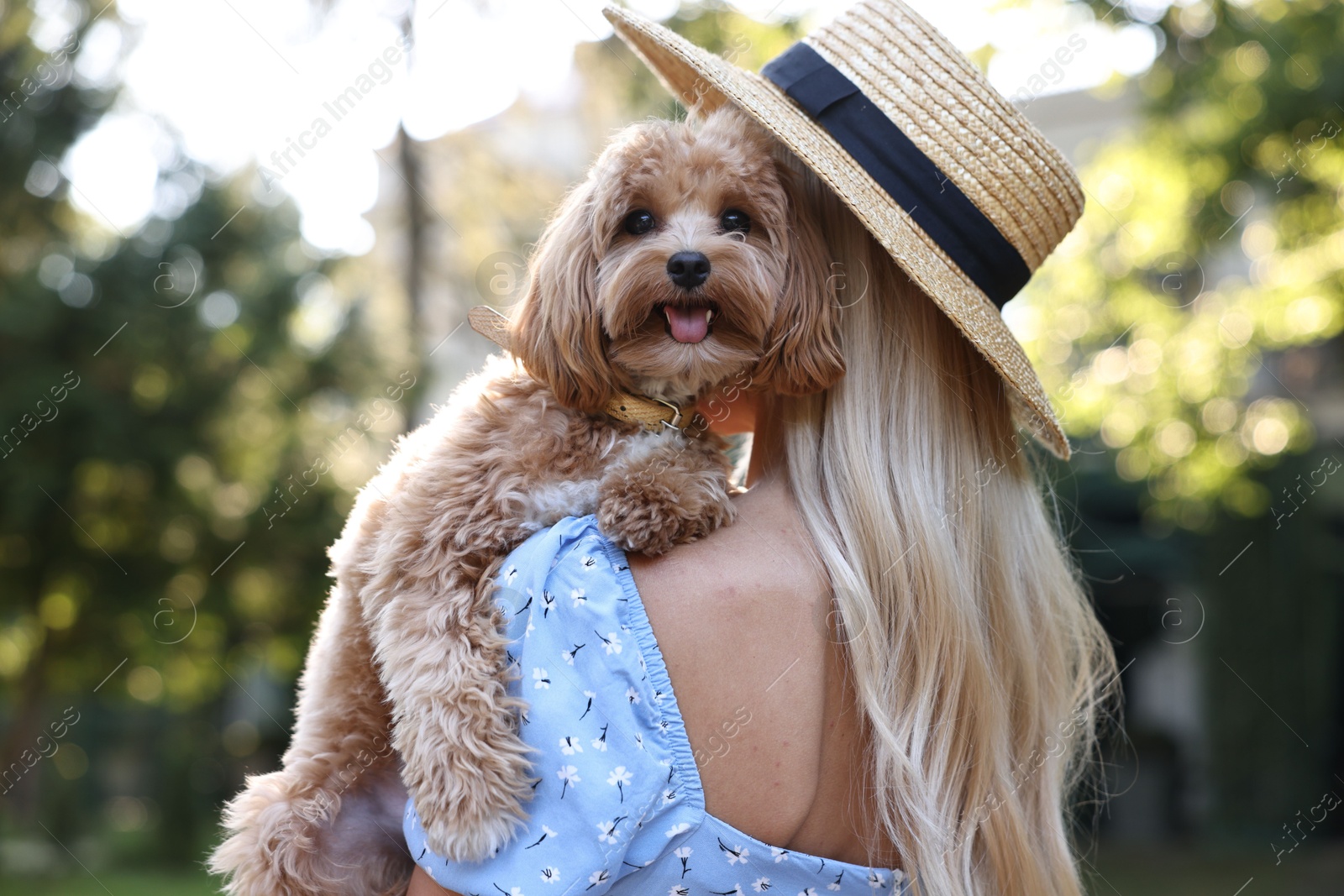 Photo of Woman with cute dog in park, back view