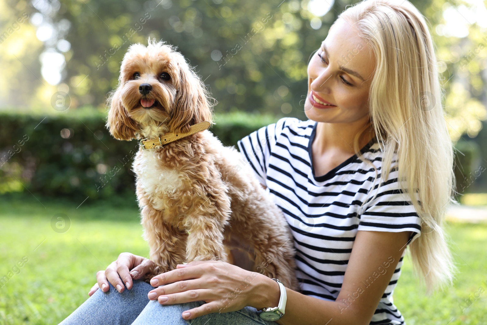 Photo of Beautiful young woman with cute dog on green grass in park