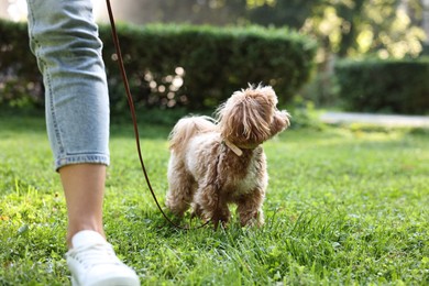 Photo of Woman walking with cute dog in park, closeup