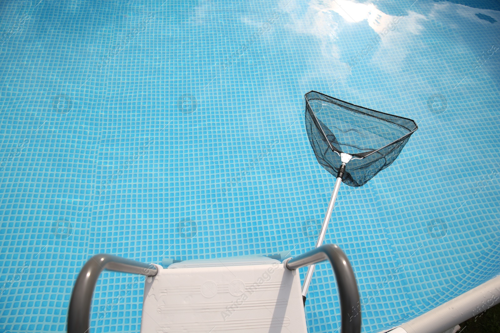 Photo of One skimmer net, ladder and swimming pool, above view