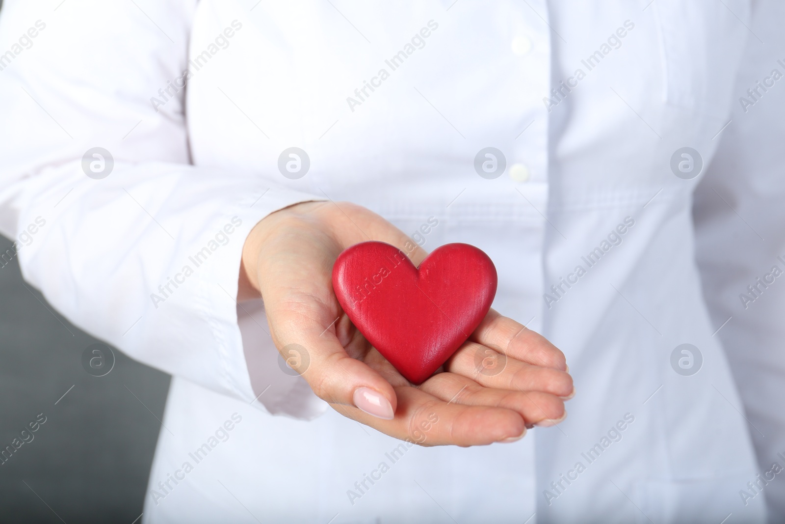 Photo of Doctor holding red heart on grey background, closeup