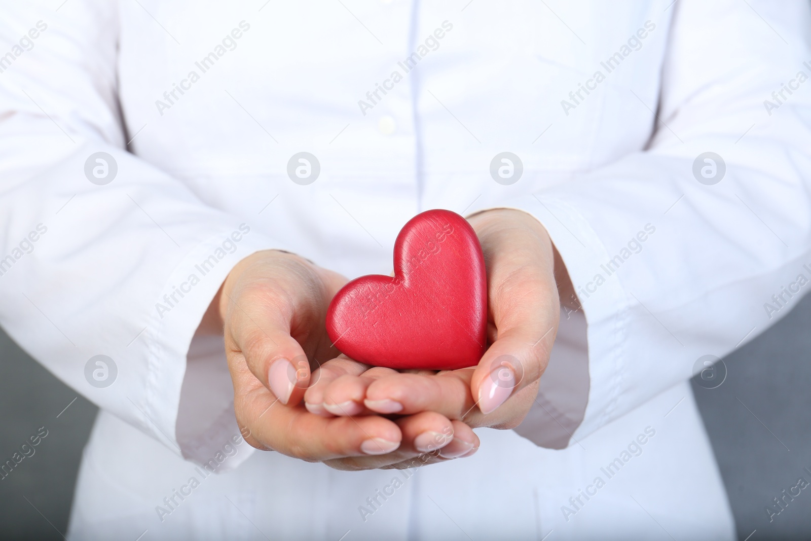 Photo of Doctor holding red heart on grey background, closeup