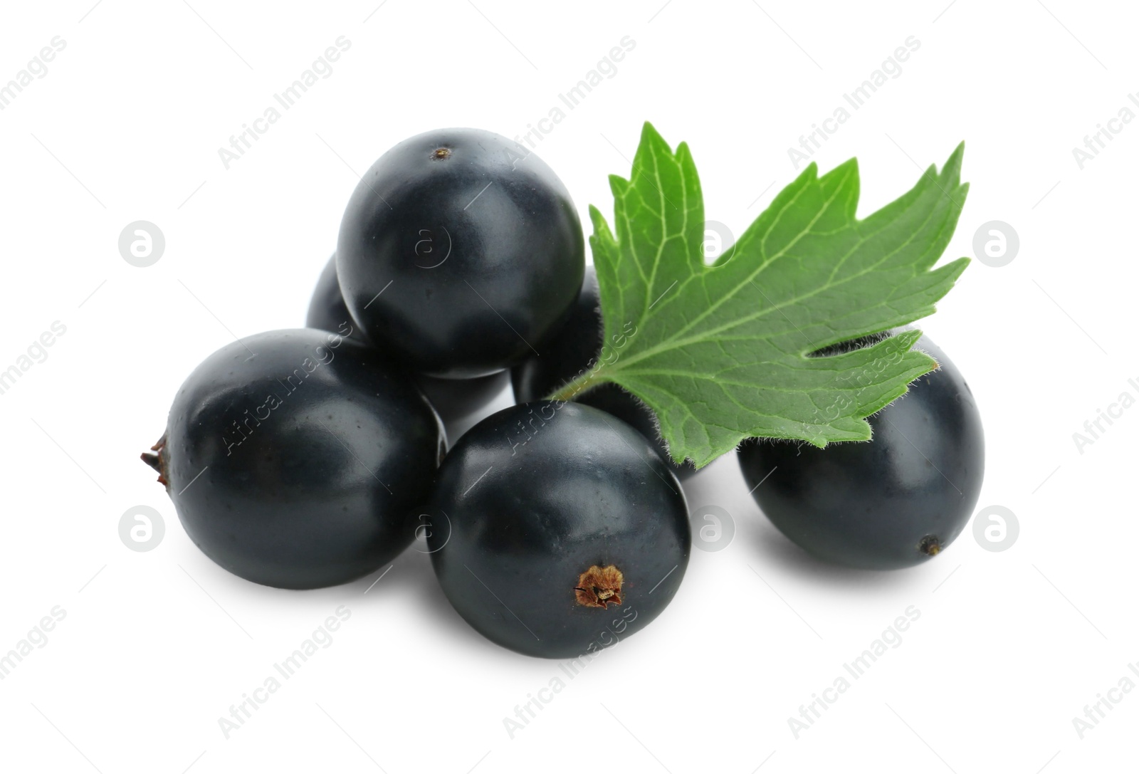 Photo of Ripe blackcurrants and green leaf isolated on white