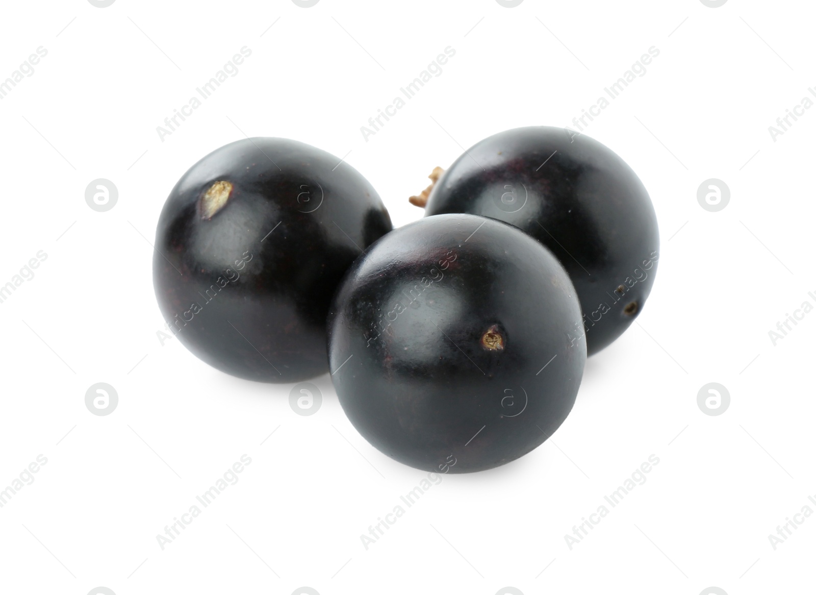 Photo of Fresh ripe black currant berries isolated on white