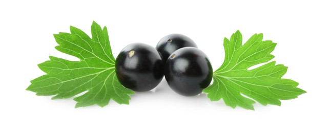 Photo of Fresh ripe black currant berries with leaves isolated on white