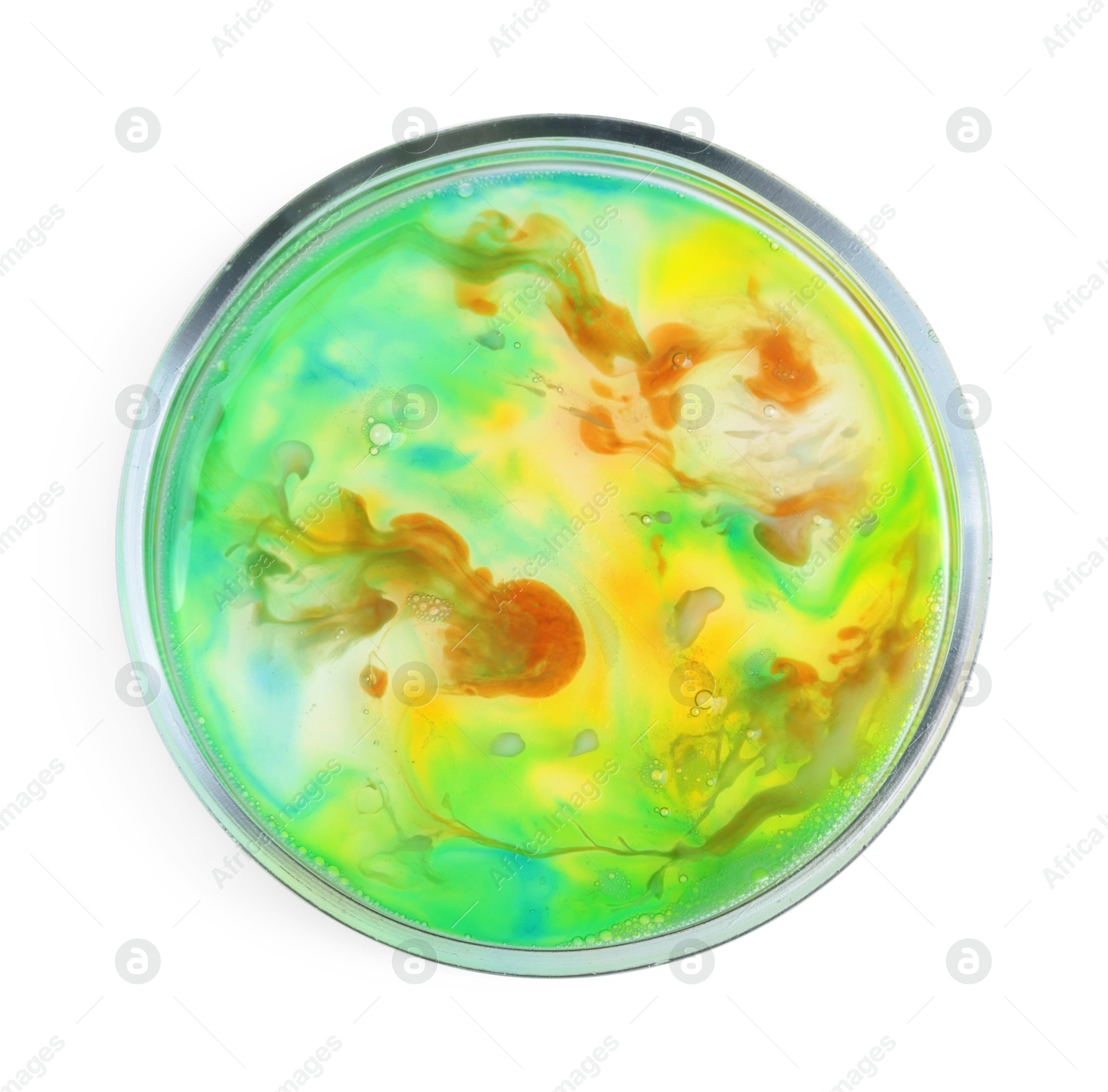 Photo of Petri dish with bacteria isolated on white, top view