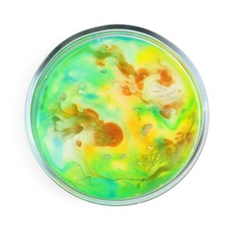 Petri dish with bacteria isolated on white, top view