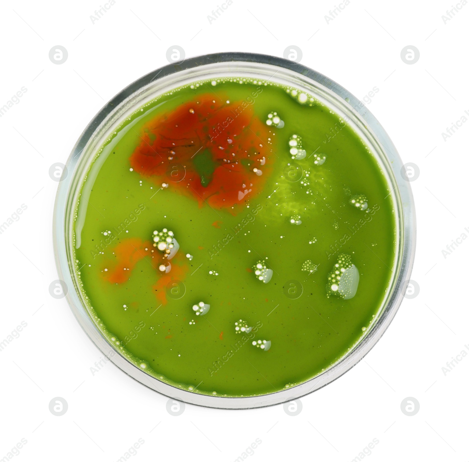 Photo of Petri dish with bacteria isolated on white, top view