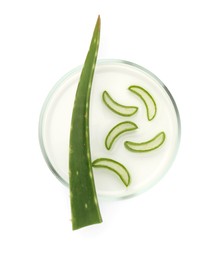 Photo of Petri dish with fresh aloe vera leaves isolated on white, top view