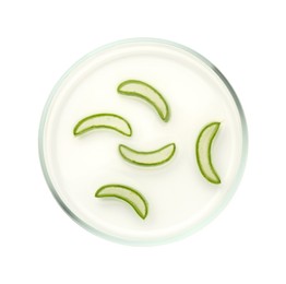 Photo of Petri dish with fresh aloe vera leaves isolated on white, top view