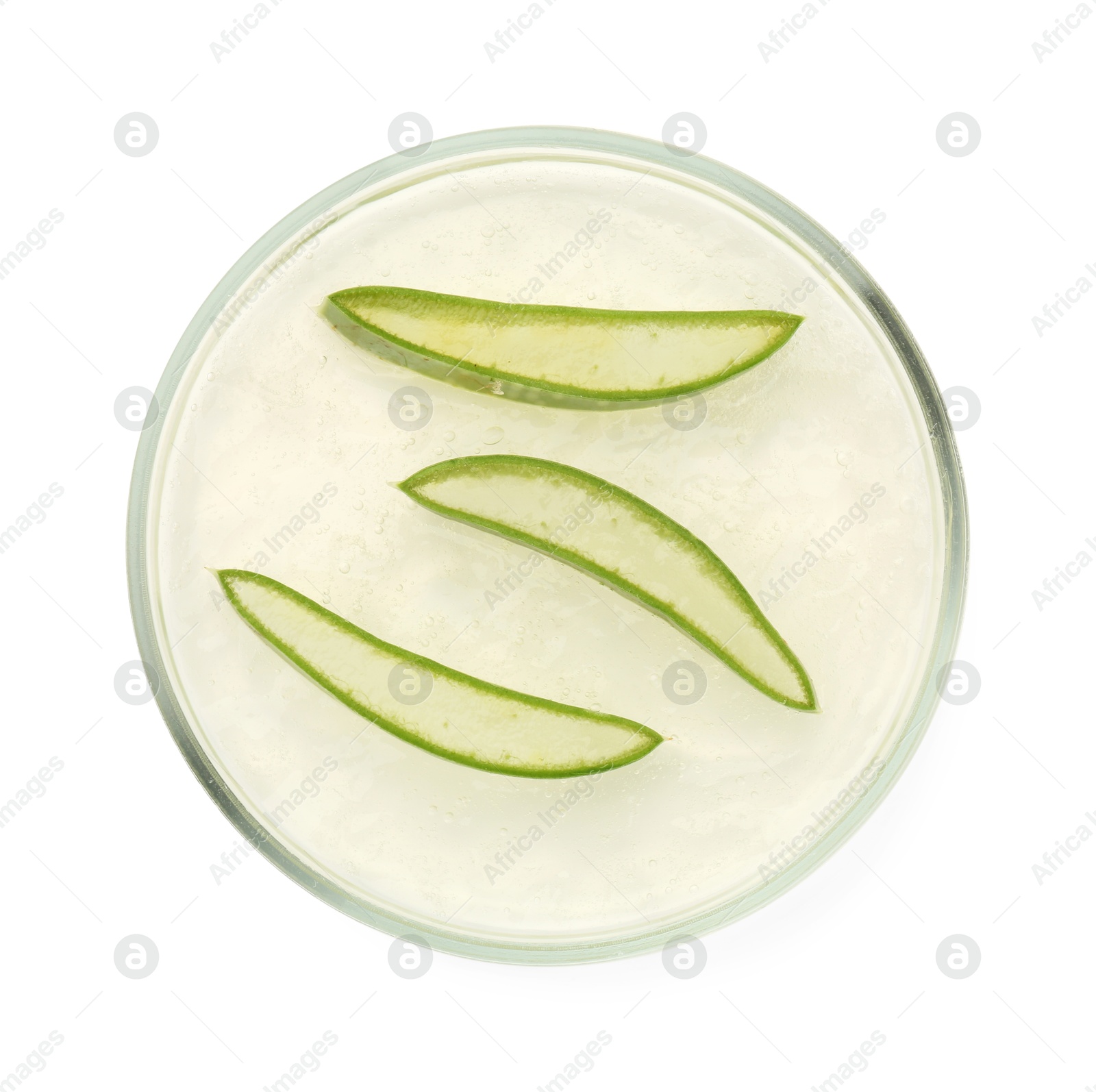 Photo of Petri dish with fresh aloe vera leaves isolated on white, top view