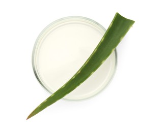 Photo of Petri dish with fresh aloe vera leaf isolated on white, top view