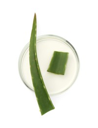 Photo of Petri dish with fresh aloe vera leaves isolated on white, top view