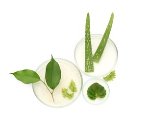 Photo of Petri dishes with different fresh leaves isolated on white, top view