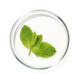 Photo of Petri dish with fresh leaves isolated on white, top view