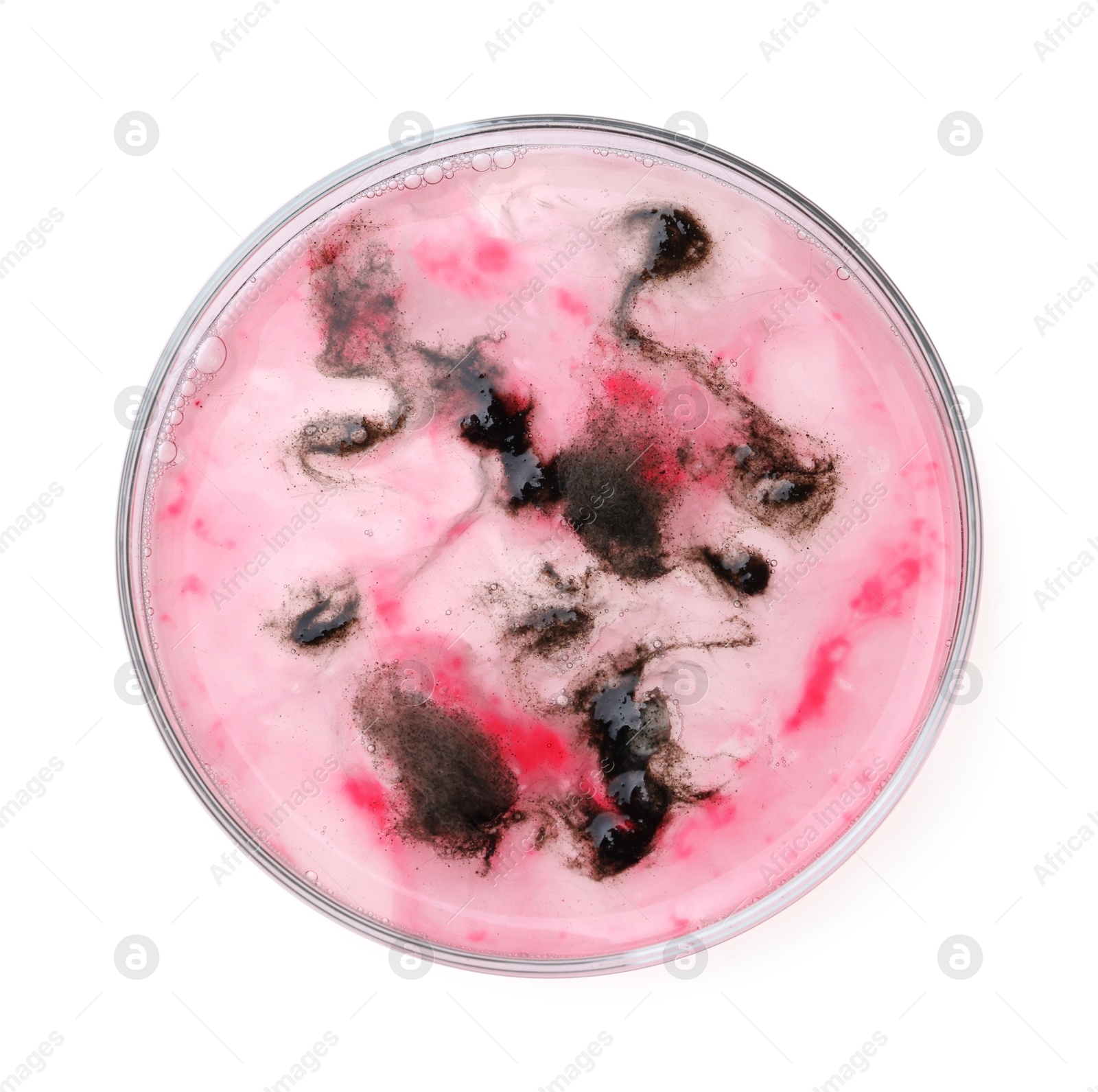 Photo of Petri dish with bacteria isolated on white, top view