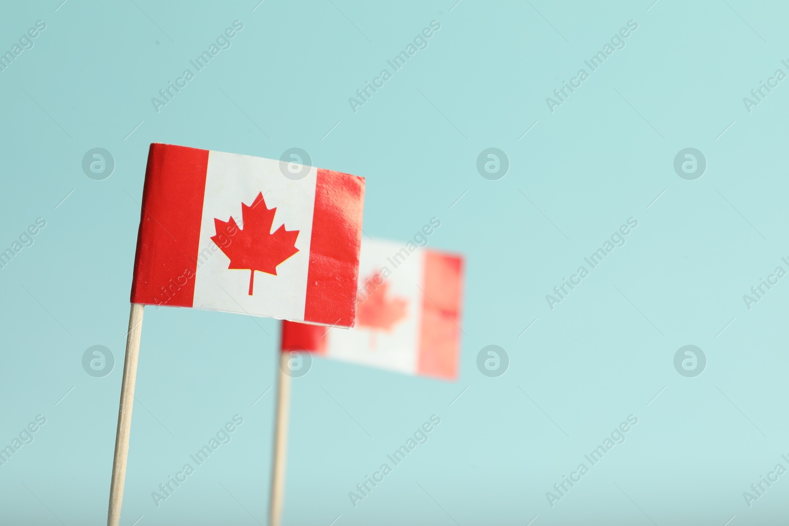 Photo of Small paper flags of Canada on light blue background, selective focus. Space for text