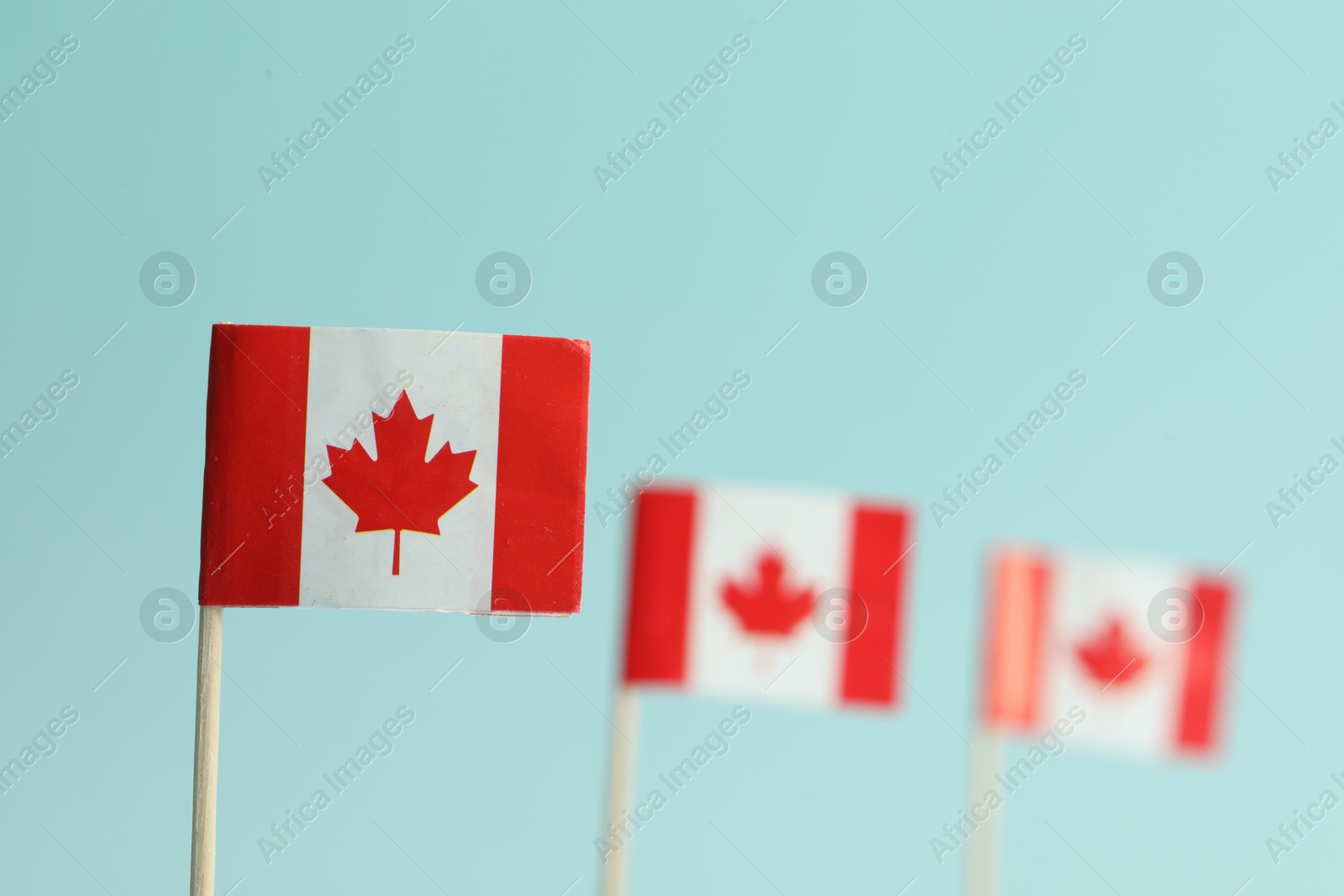 Photo of Small paper flags of Canada on light blue background, selective focus. Space for text