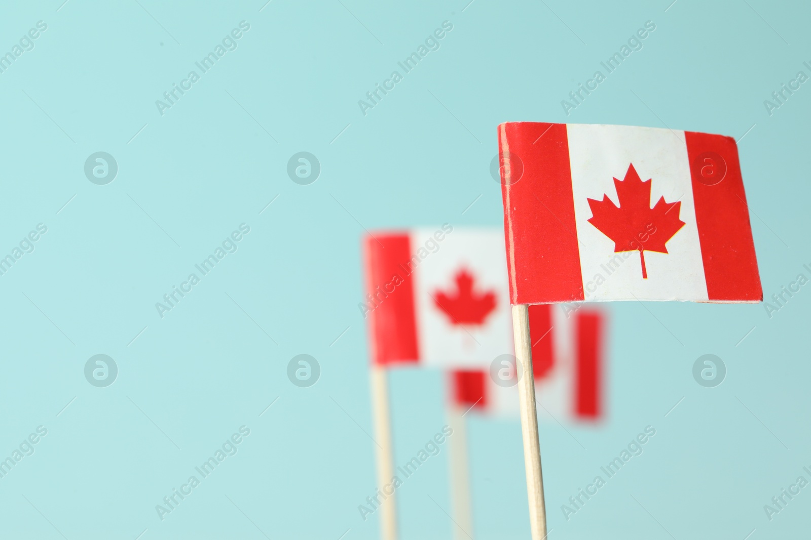 Photo of Small paper flags of Canada on light blue background, selective focus. Space for text