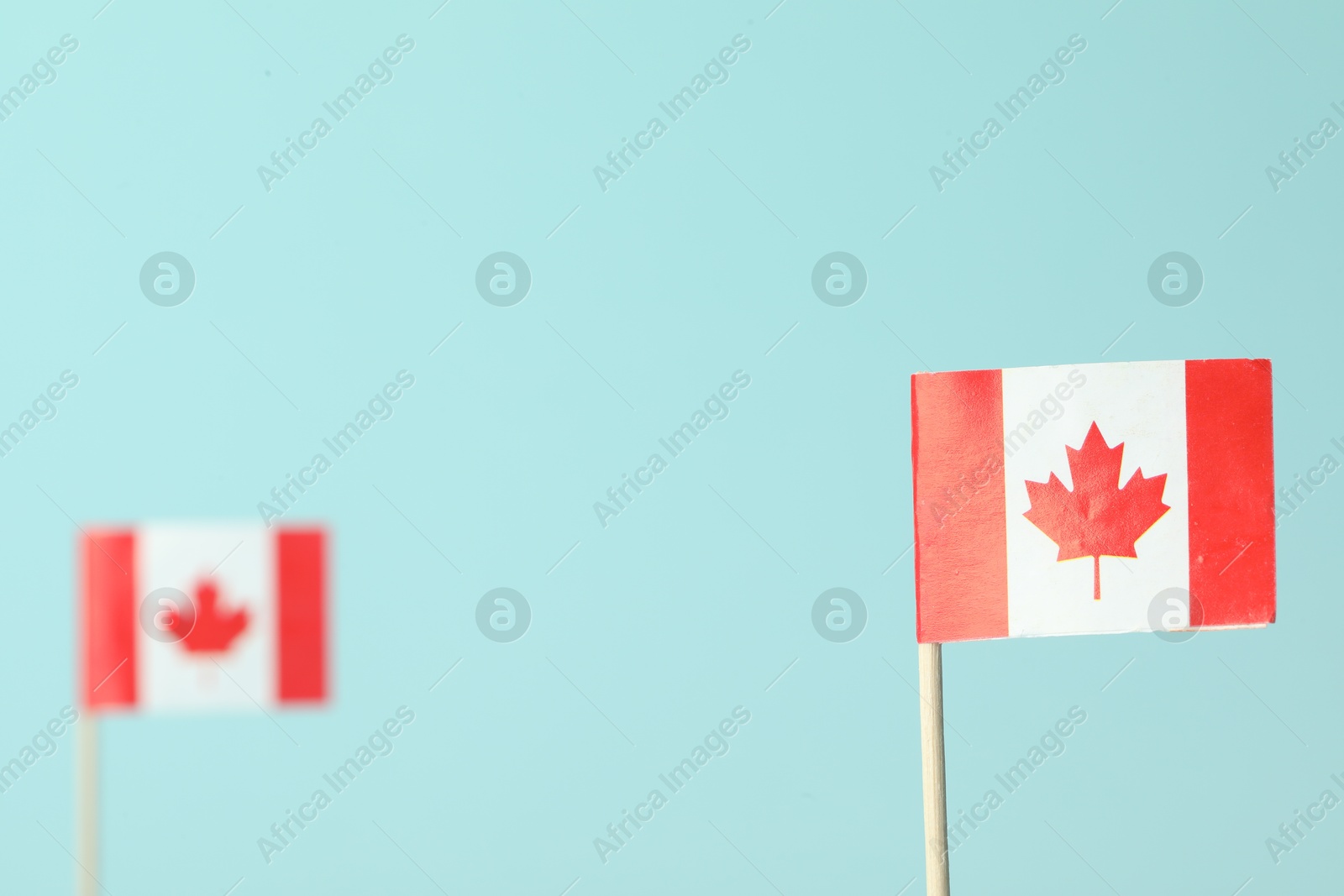 Photo of Small paper flags of Canada on light blue background, selective focus. Space for text