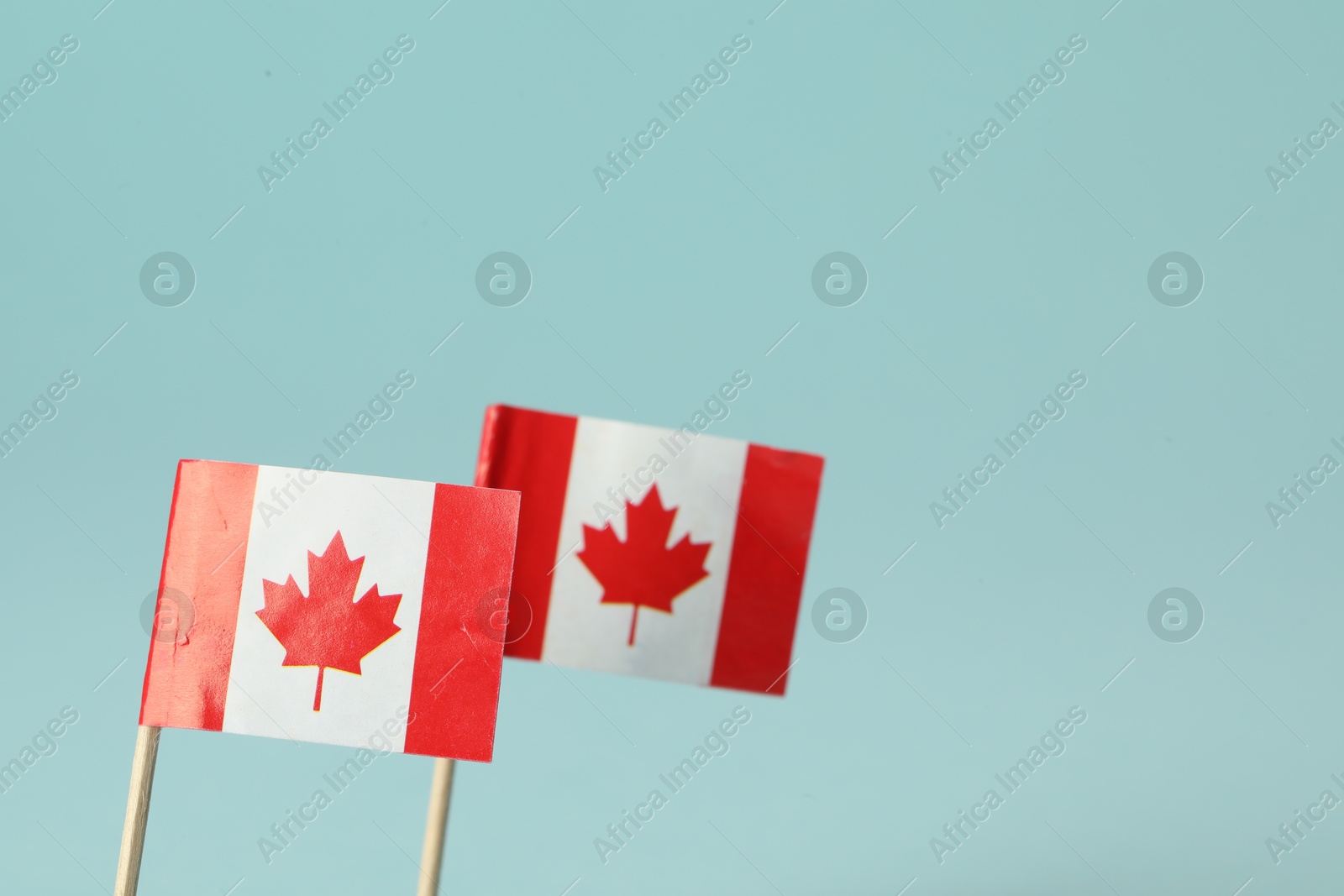 Photo of Small paper flags of Canada on light blue background, selective focus. Space for text