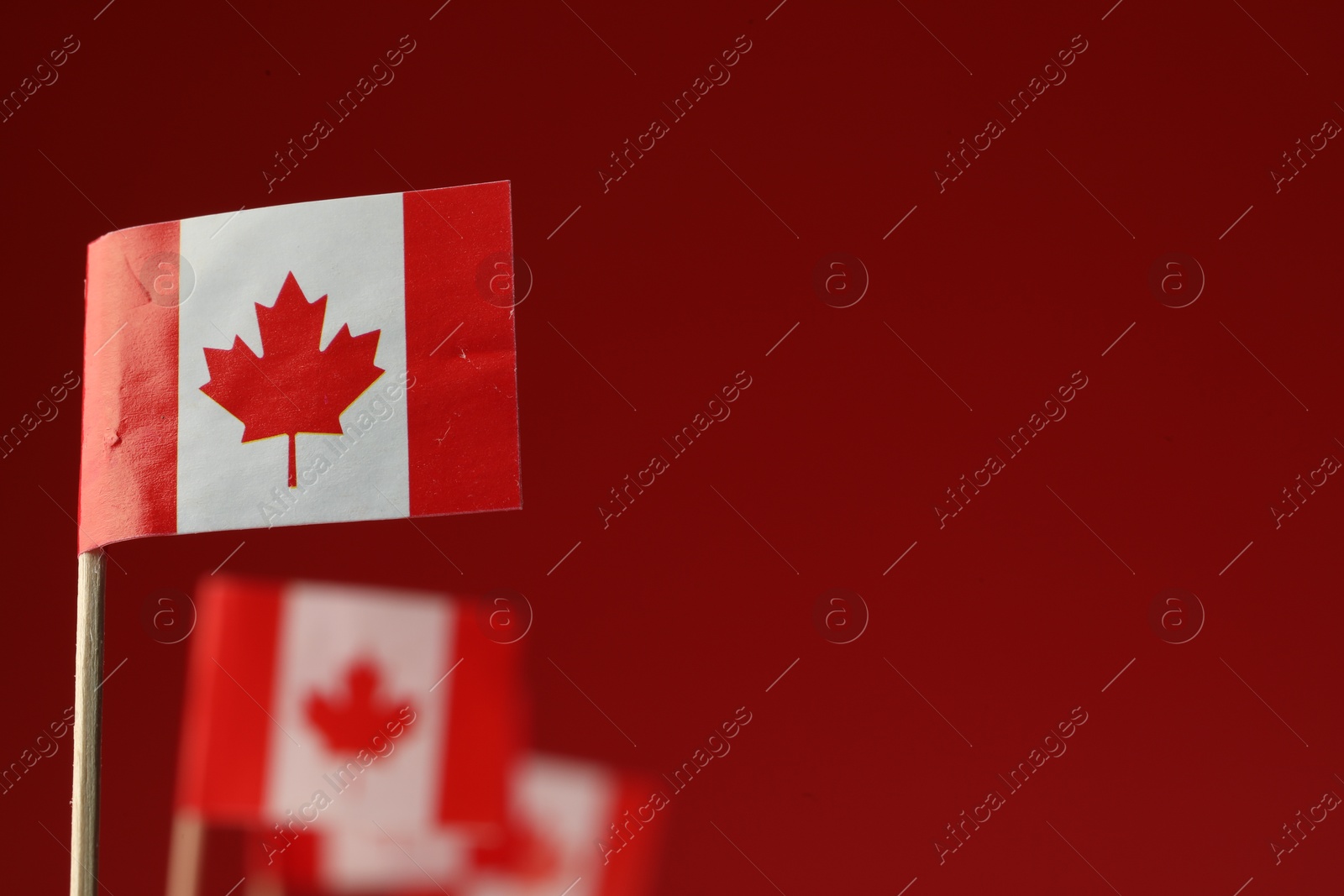 Photo of Small paper flags of Canada on red background, selective focus. Space for text