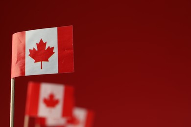 Small paper flags of Canada on red background, selective focus. Space for text