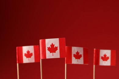 Small paper flags of Canada on red background, selective focus. Space for text