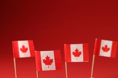 Photo of Small paper flags of Canada on red background, selective focus. Space for text