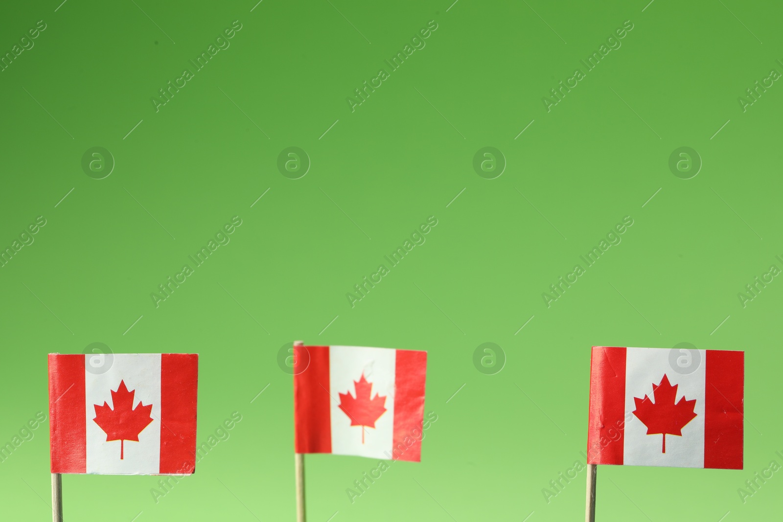 Photo of Small paper flags of Canada on green background. Space for text