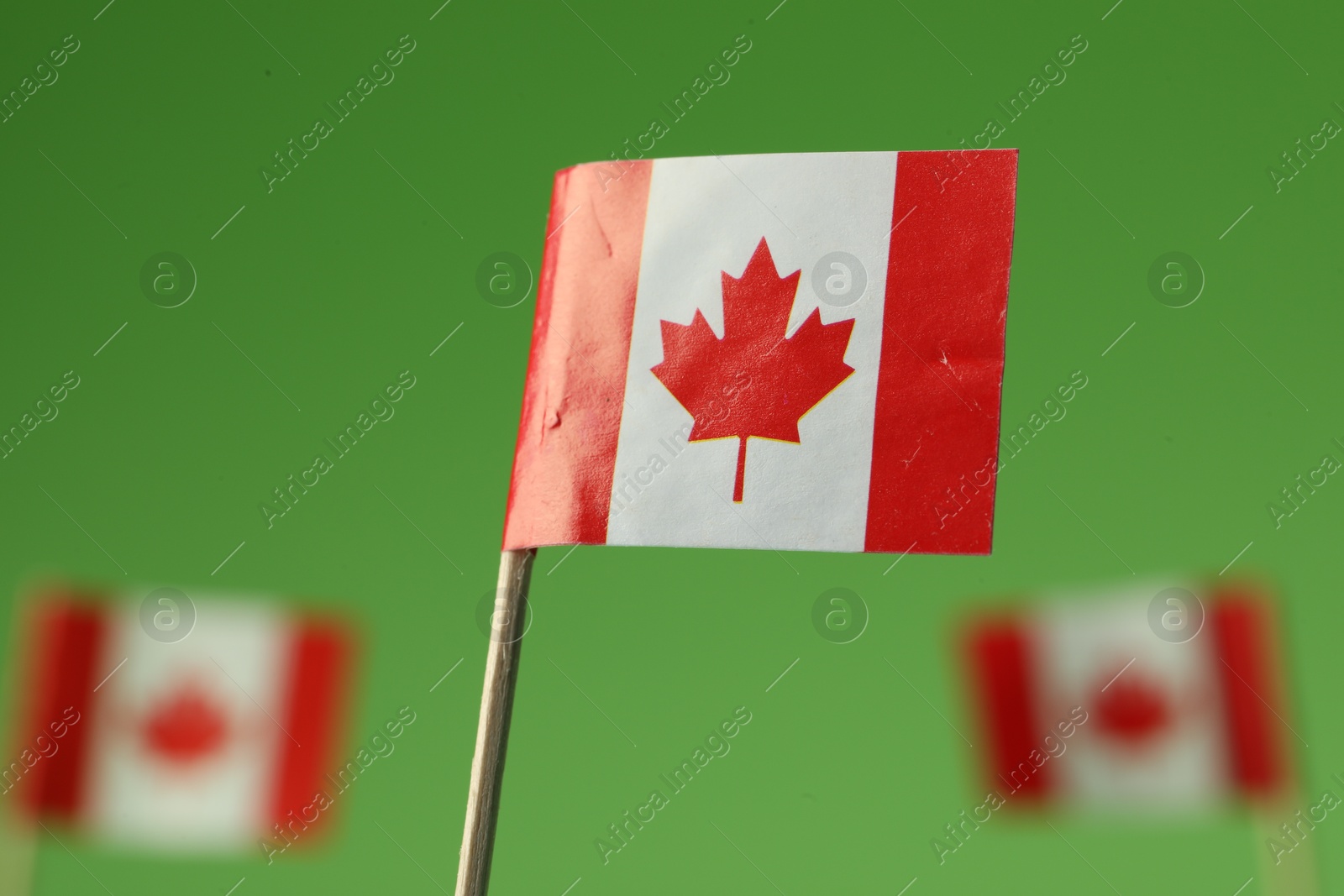 Photo of Small paper flags of Canada on green background, selective focus