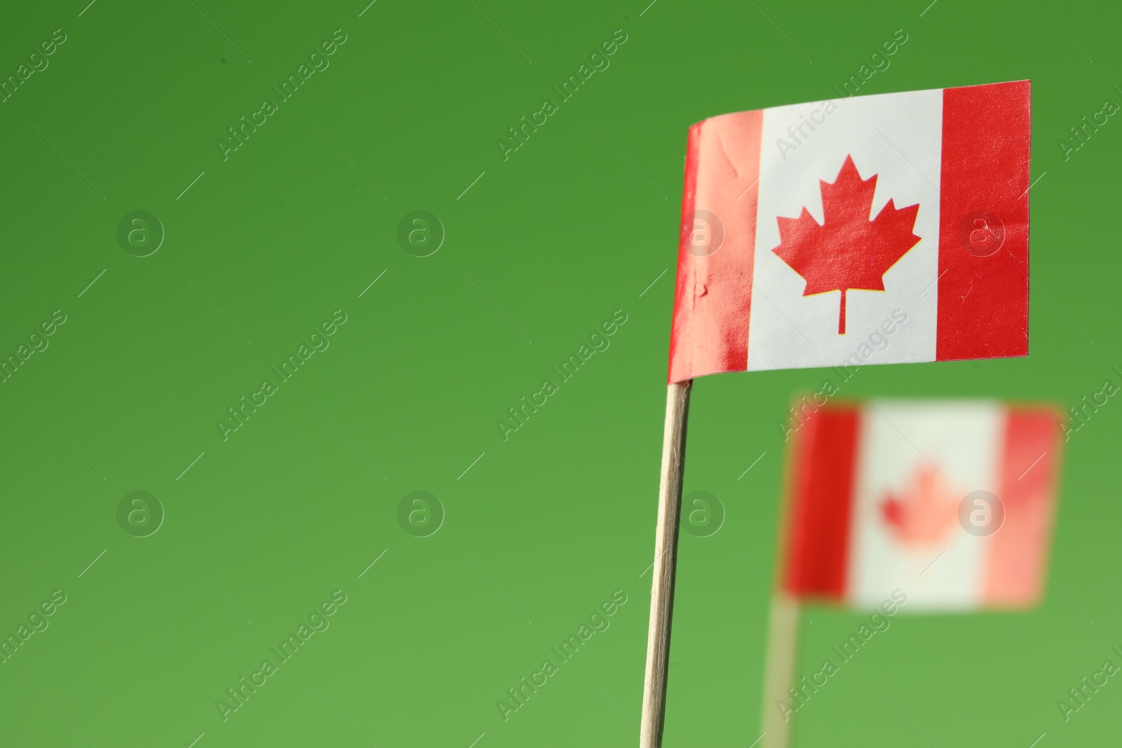 Photo of Small paper flags of Canada on green background, selective focus. Space for text