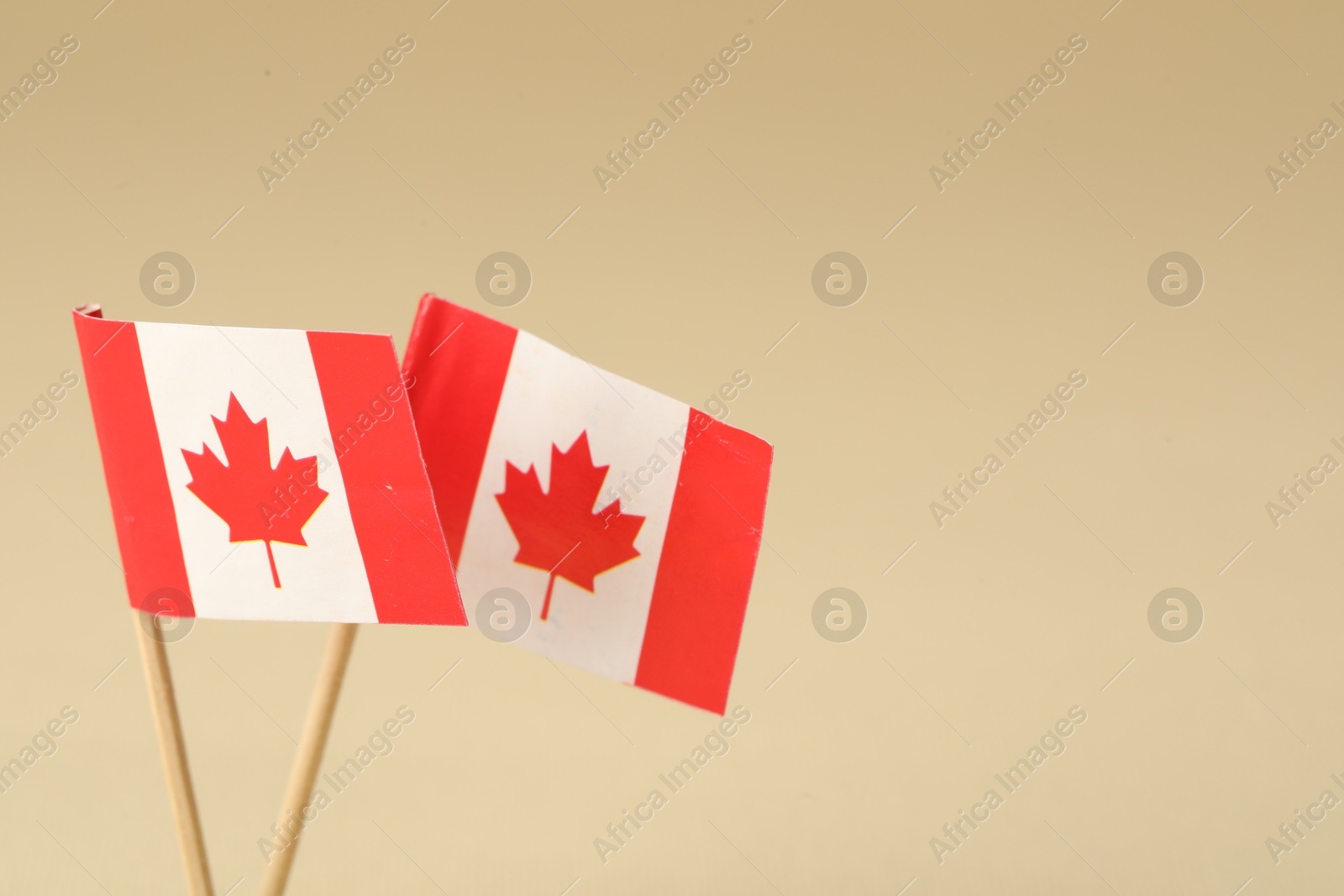 Photo of Small paper flags of Canada on beige background, closeup. Space for text