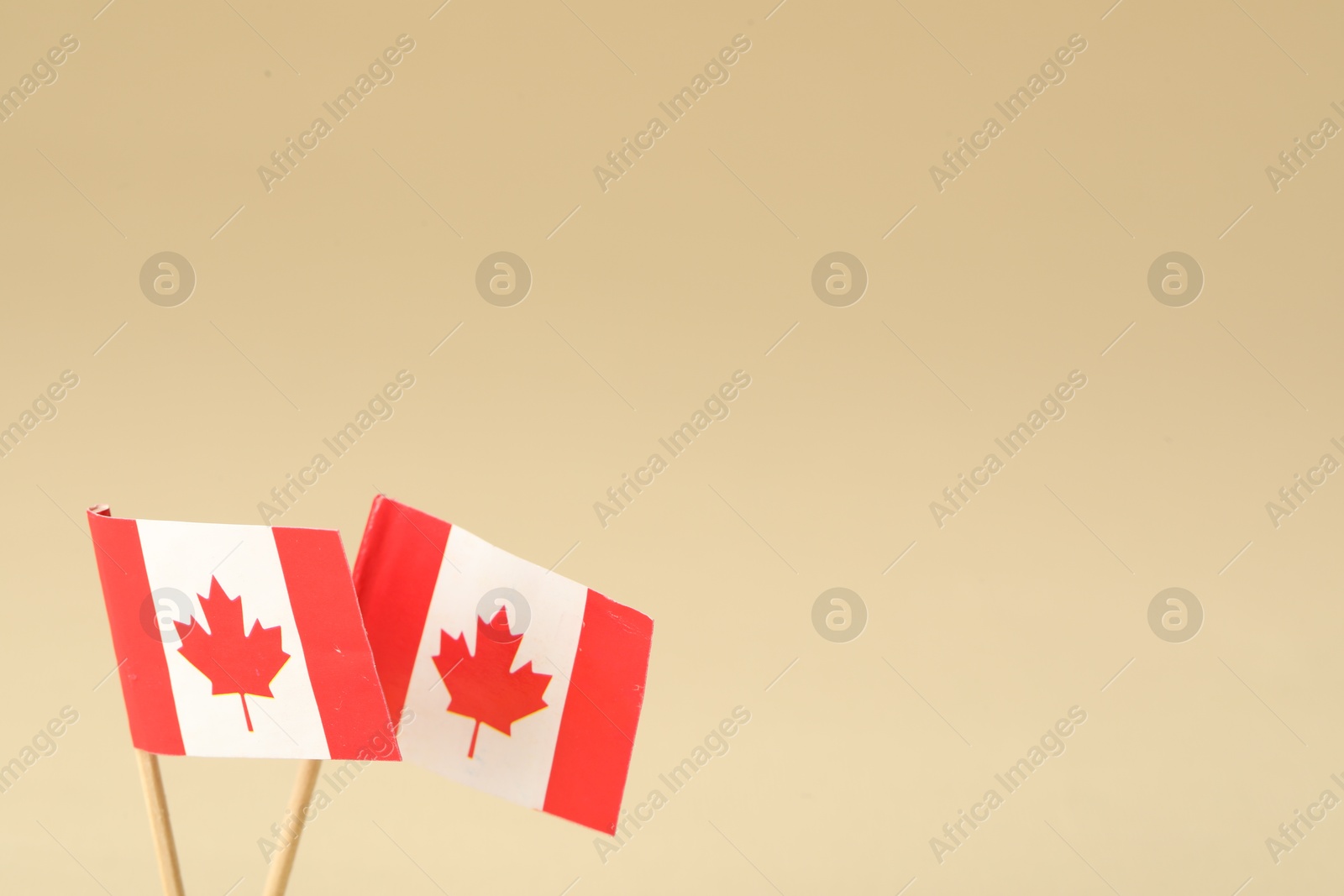 Photo of Small paper flags of Canada on beige background. Space for text