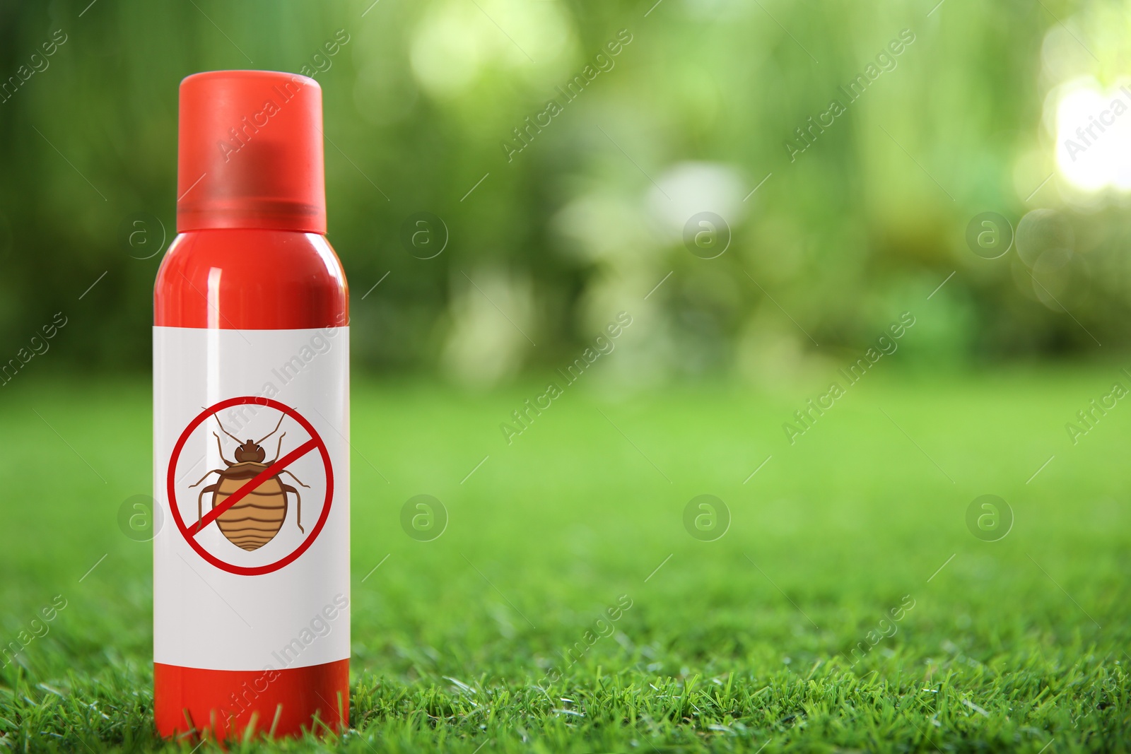 Image of Insect repellent in spray can on green grass outdoors. Space for text