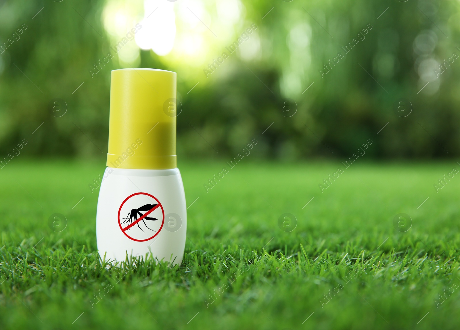 Image of Mosquito spray on green grass outdoors, space for text. Insect repellent