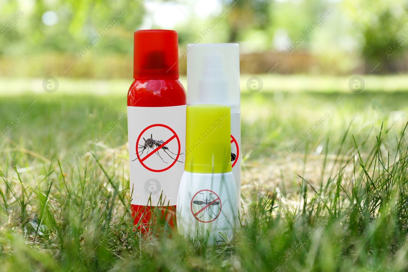 Image of Mosquito sprays on green grass outdoors. Insect repellent