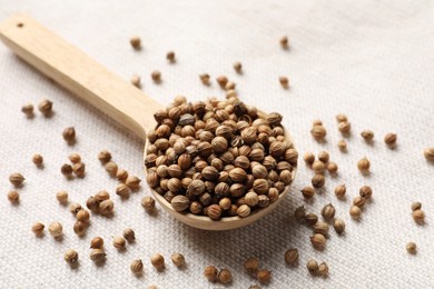 Spoon with dried coriander seeds on light cloth, closeup