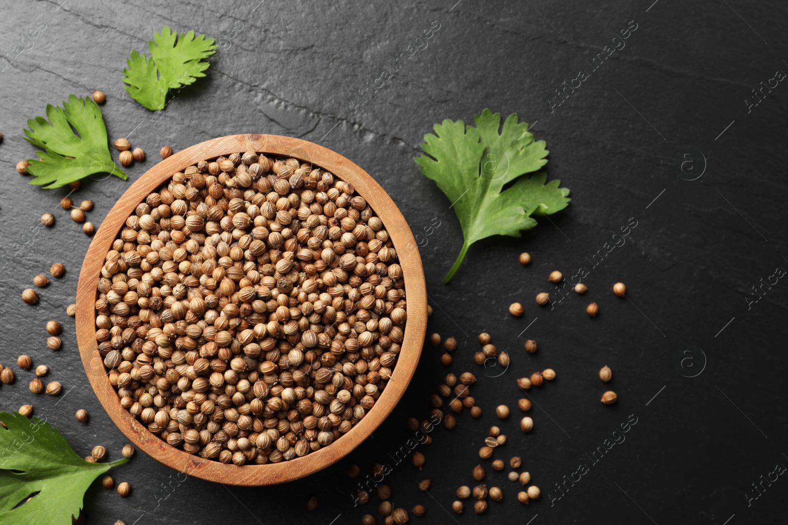 Photo of Dried coriander seeds in bowl and green leaves on dark gray textured table, flat lay. Space for text