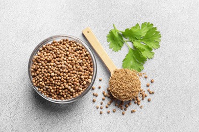 Dried coriander seeds in bowl, powder and green leaves on grey table, top view