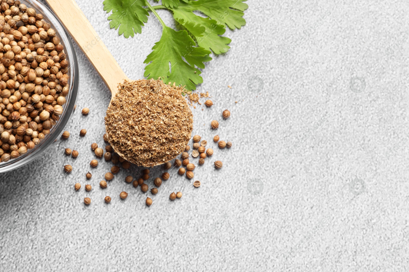 Photo of Coriander powder in spoon, seeds and green leaves on grey table, top view. Space for text