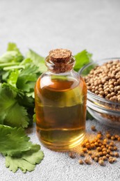 Coriander essential oil, seeds and green leaves on grey table