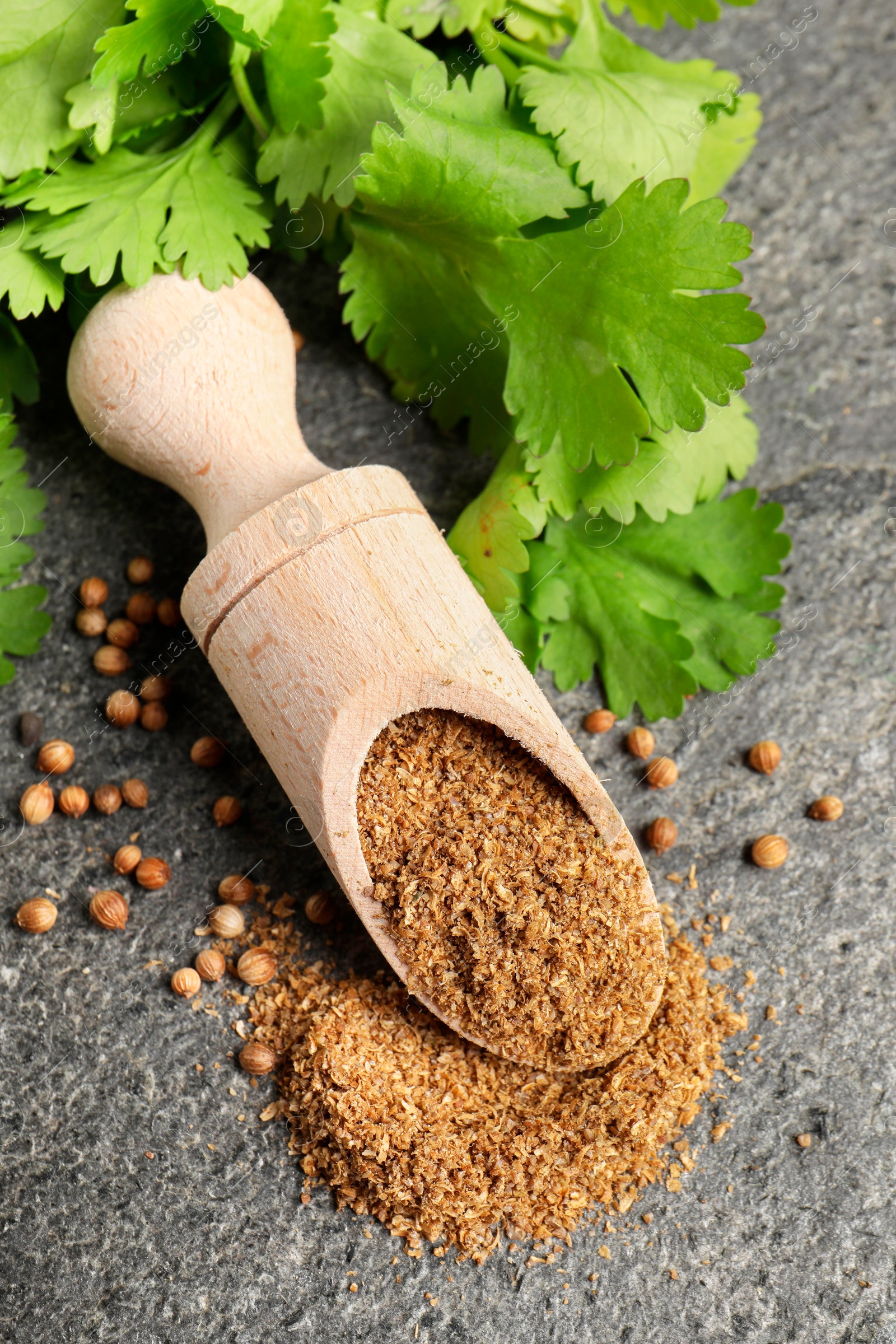 Photo of Coriander powder in scoop, seeds and green leaves on grey table, top view