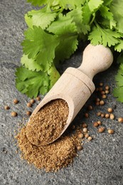 Coriander powder in scoop, seeds and green leaves on grey table, top view