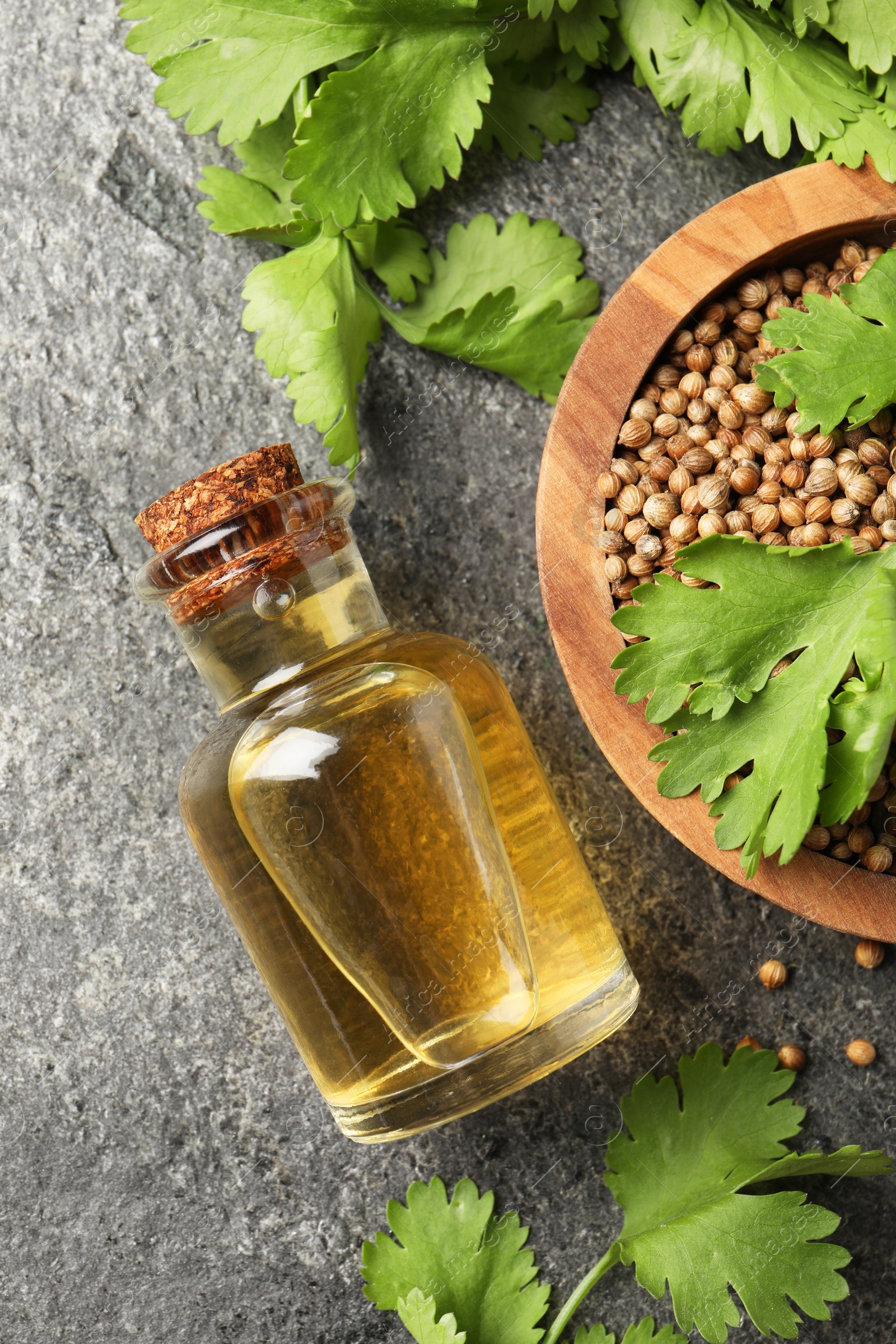 Photo of Coriander essential oil, seeds and green leaves on grey table, top view