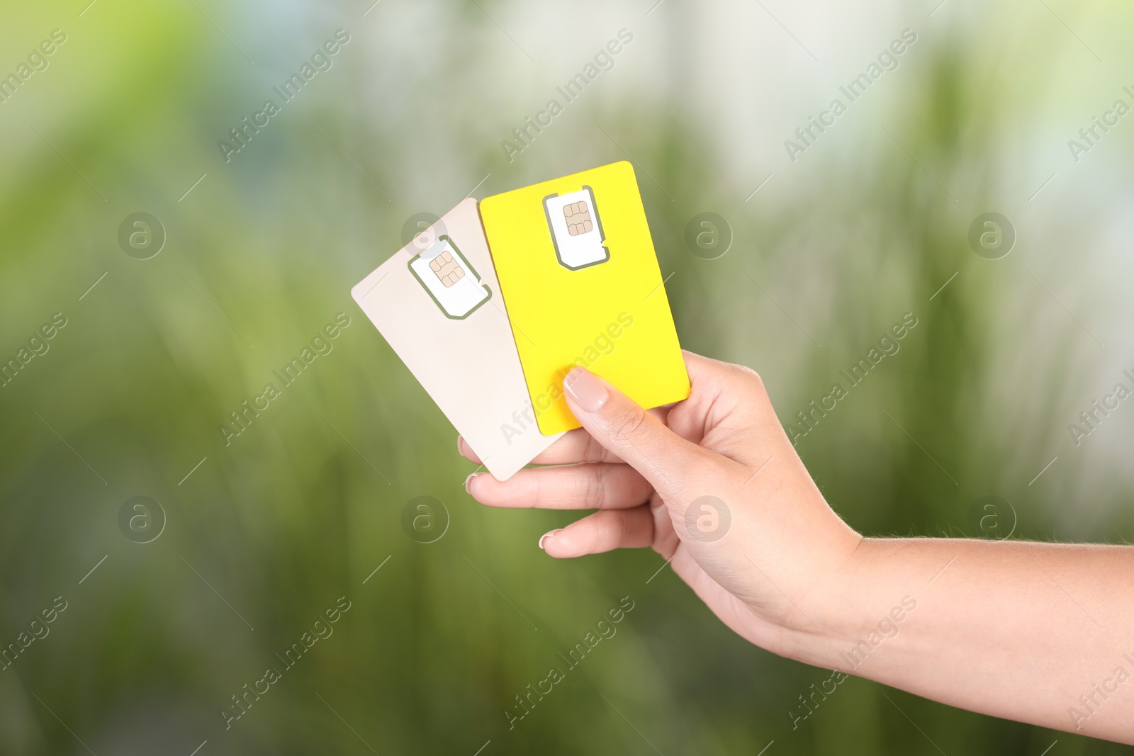 Photo of Woman holding SIM cards on blurred background, closeup