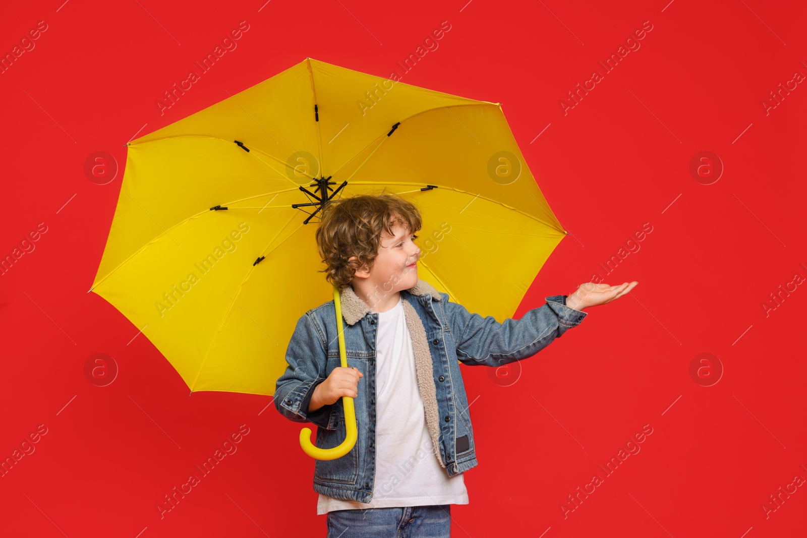 Photo of Little boy with yellow umbrella on red background