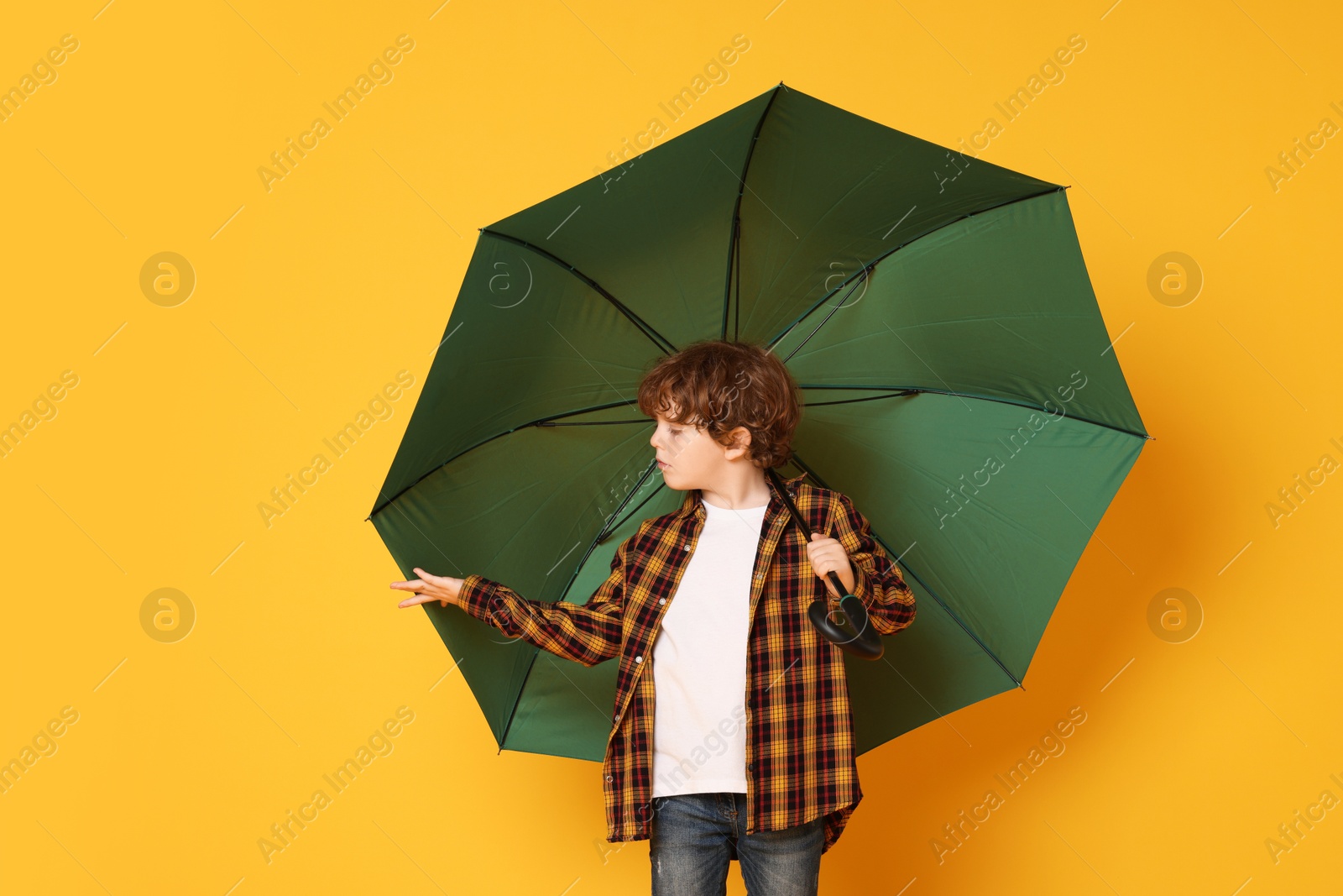 Photo of Little boy with green umbrella on orange background